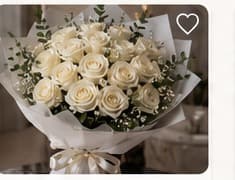White Elegance 1